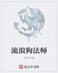 给流浪狗喂什么比较好