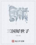 三国好世子曹冲txt