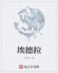 中国电力控股有限公司