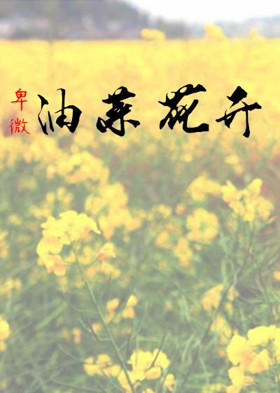 油菜花开花视频