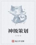 神级策划师叶枫