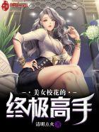 美女校花的古武高手txt