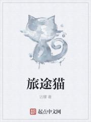 猫的旅途没有尽头