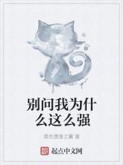 别问我这是为什么