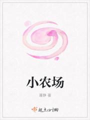 小农场政策