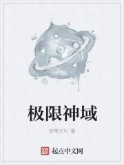 魂师对决极限神域