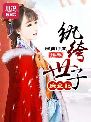 纨绔世子妃女主