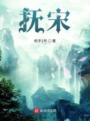 抚宋无错版