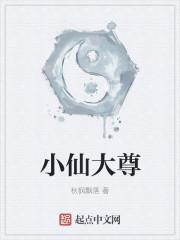 小仙武帝尊