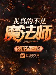 我不是魔法师橙光