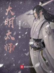 大明太师典藏版