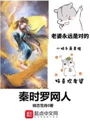 秦时罗网人加料版