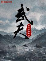 武夫无错版