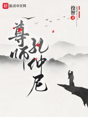 尊师孔仲尼停更