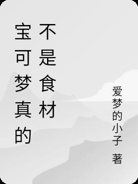 宝可梦正版游戏