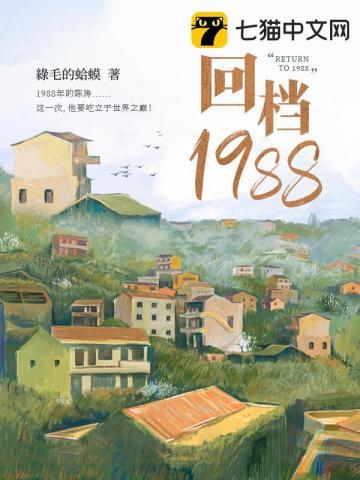 回档1988全文免费阅读