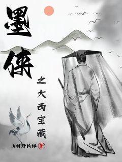 大西宝藏全文阅读