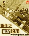 重生之青涩1977