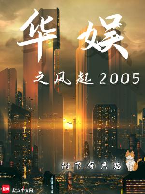 华娱之风起2005免费