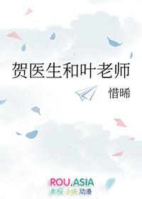 贺医生和叶老师的