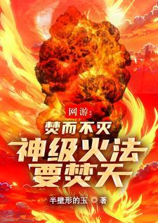 网游火神法师免费阅读