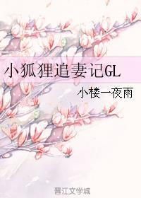 小狐狸追妻记gl免费阅读