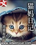 观察猫的日记